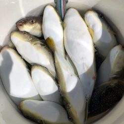 浜栄丸 釣果
