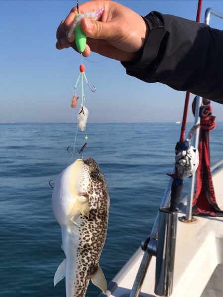 浜栄丸 釣果