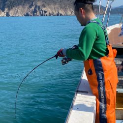 あみや渡船 JIGBOY 釣果