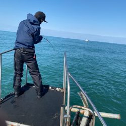 あみや渡船 JIGBOY 釣果