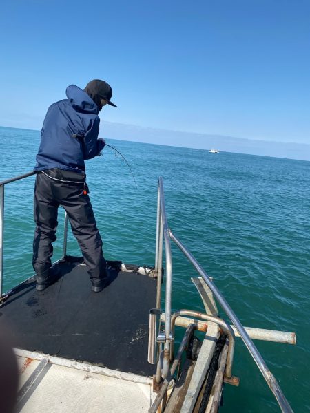 あみや渡船 JIGBOY 釣果