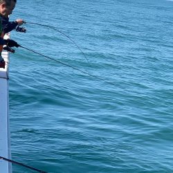 あみや渡船 JIGBOY 釣果