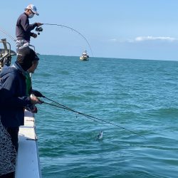 あみや渡船 JIGBOY 釣果