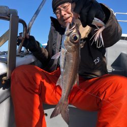 ＴＡＲＯＭＡＲＵ 釣果