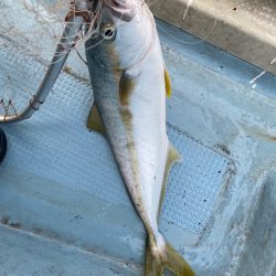 あみや渡船 JIGBOY 釣果