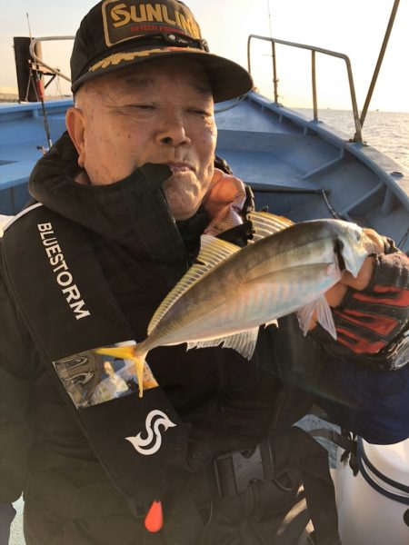 ヤザワ渡船 釣果