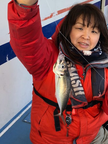 ヤザワ渡船 釣果