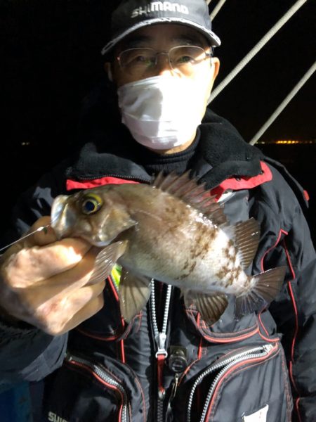 ヤザワ渡船 釣果