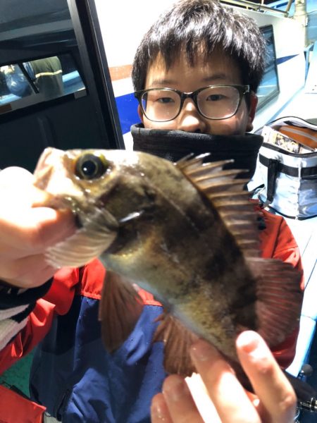 ヤザワ渡船 釣果