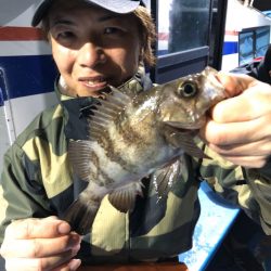 ヤザワ渡船 釣果