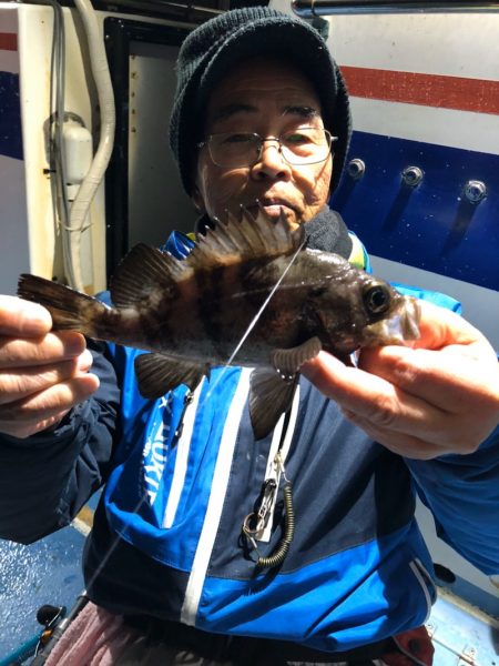 ヤザワ渡船 釣果