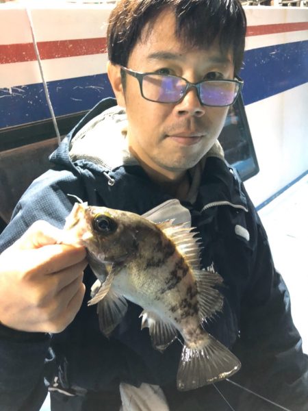 ヤザワ渡船 釣果