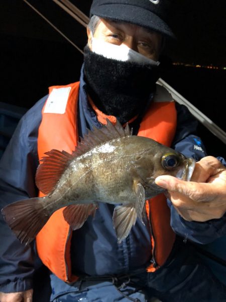 ヤザワ渡船 釣果