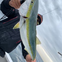 ランスルー 釣果