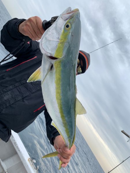 ランスルー 釣果