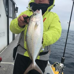 ランスルー 釣果