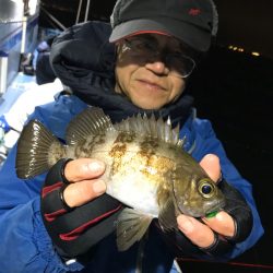 ヤザワ渡船 釣果
