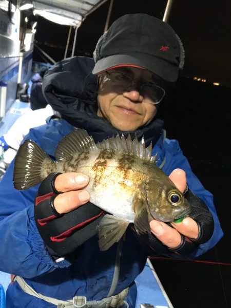 ヤザワ渡船 釣果