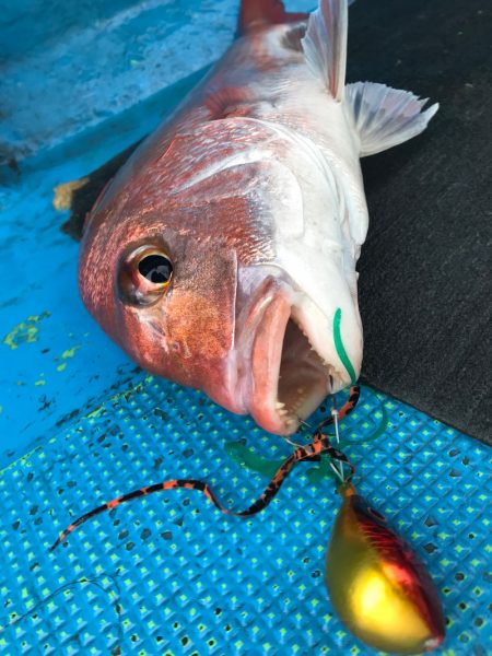 太平丸 釣果
