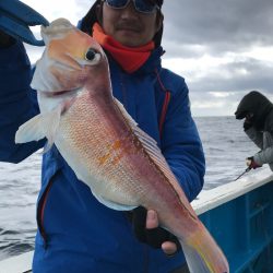 太平丸 釣果