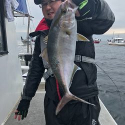 ランスルー 釣果