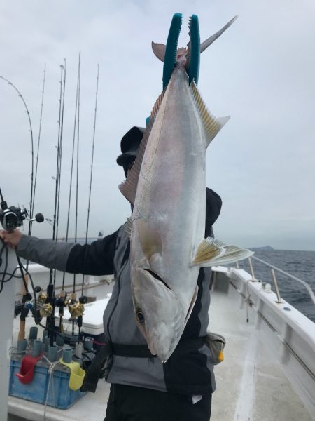 ランスルー 釣果