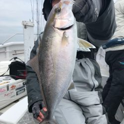 ランスルー 釣果