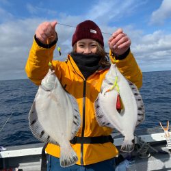 シーランチ 釣果