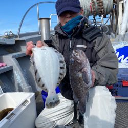 シーランチ 釣果