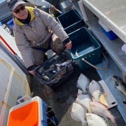 シーランチ 釣果