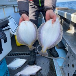 シーランチ 釣果