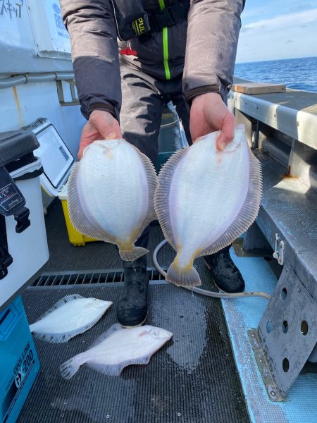 シーランチ 釣果