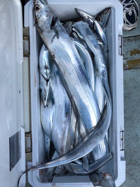 フィッシング キッタカ 釣果