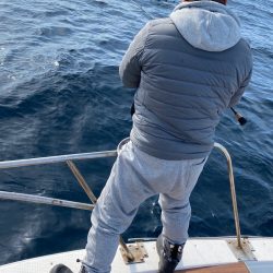 あみや渡船 JIGBOY 釣果