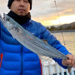 あみや渡船 JIGBOY 釣果