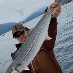 あみや渡船 JIGBOY 釣果