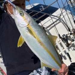 あみや渡船 JIGBOY 釣果