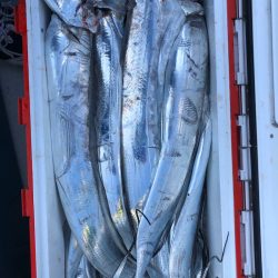 フィッシング キッタカ 釣果