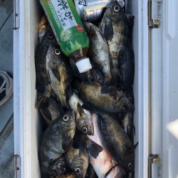 フィッシング キッタカ 釣果