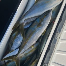 あみや渡船 JIGBOY 釣果