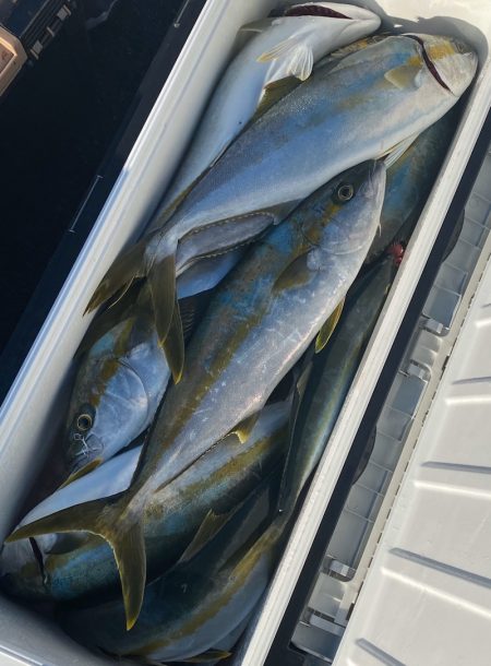 あみや渡船 JIGBOY 釣果