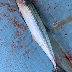 あみや渡船 JIGBOY 釣果