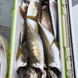 フィッシング　キッタカ 釣果