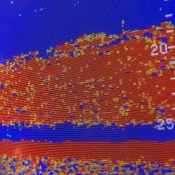 あみや渡船 JIGBOY 釣果