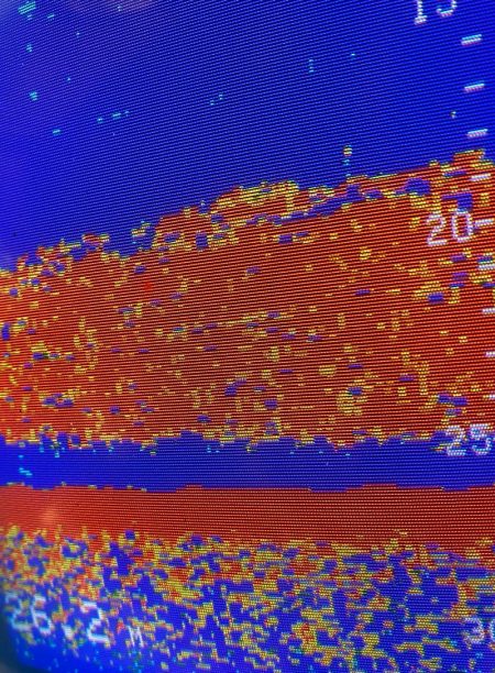 あみや渡船 JIGBOY 釣果