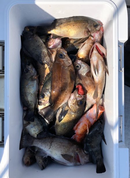 フィッシング キッタカ 釣果