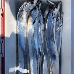 フィッシング　キッタカ 釣果