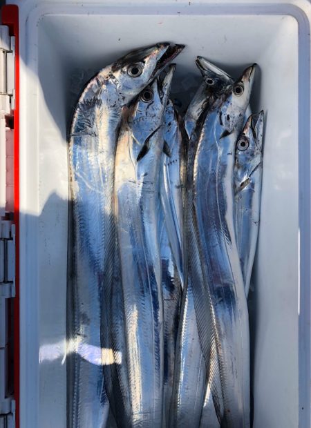 フィッシング　キッタカ 釣果