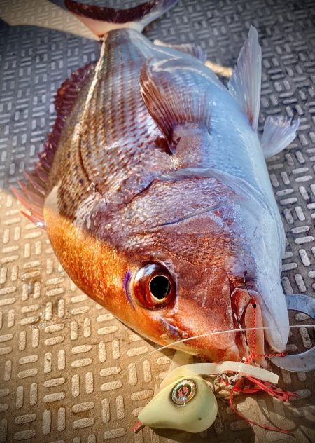 龍神丸(鹿児島) 釣果