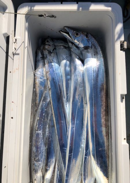 フィッシング　キッタカ 釣果